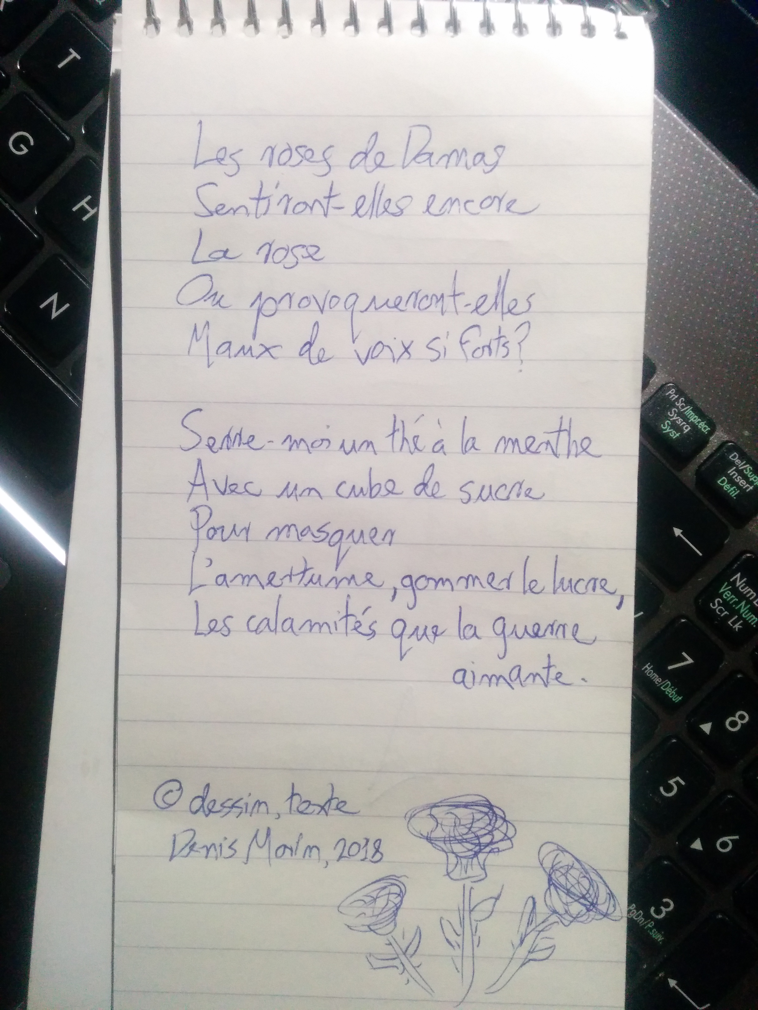 IMG_20180905_214322[11436]-Les roses de Damas