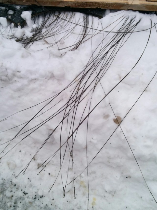 thumbnail_img_20190115_075316