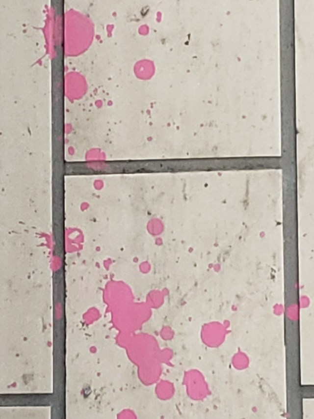 Lesroses-MétroBeaudry