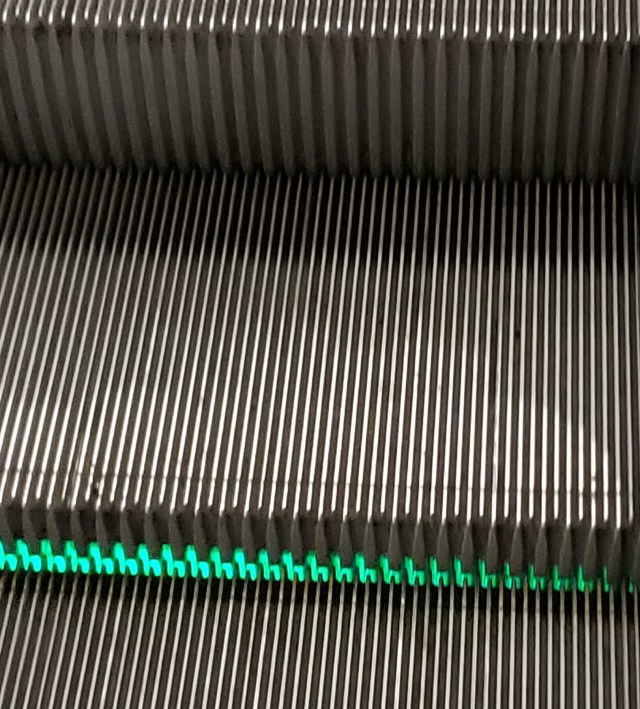 PetitsLamasGareBonaventure