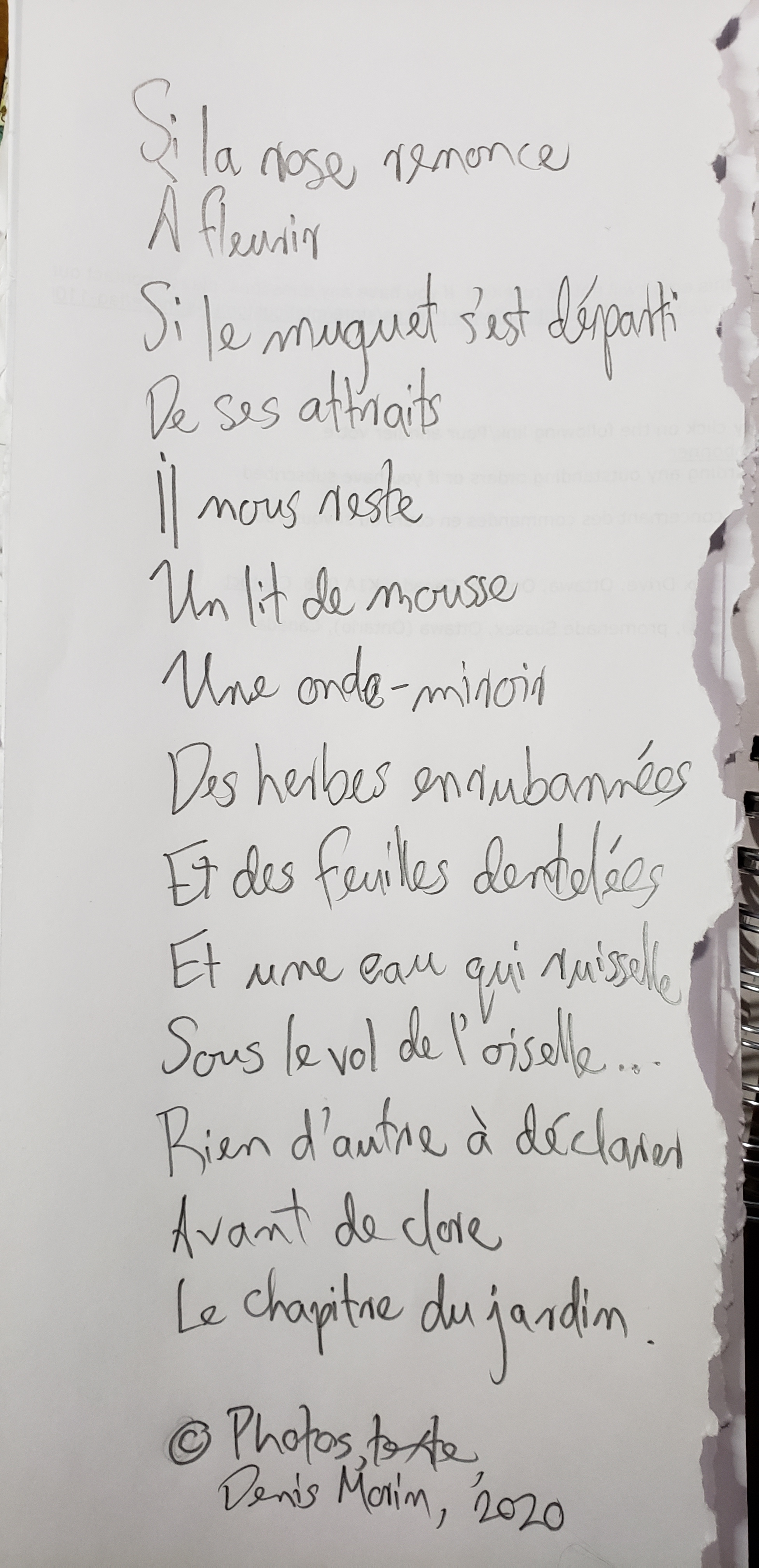 Le chapitre du jardin