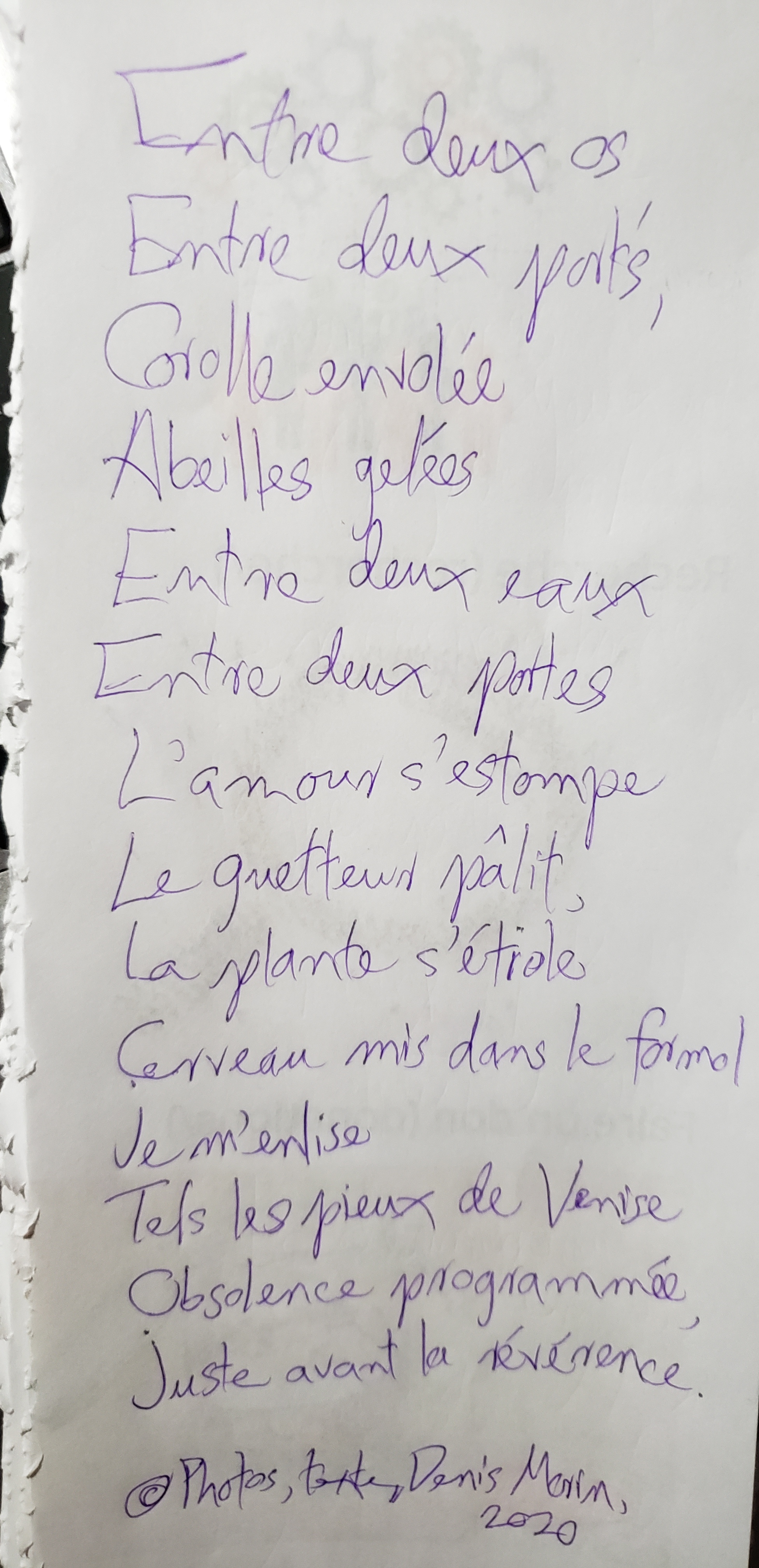 Obsolence programmée