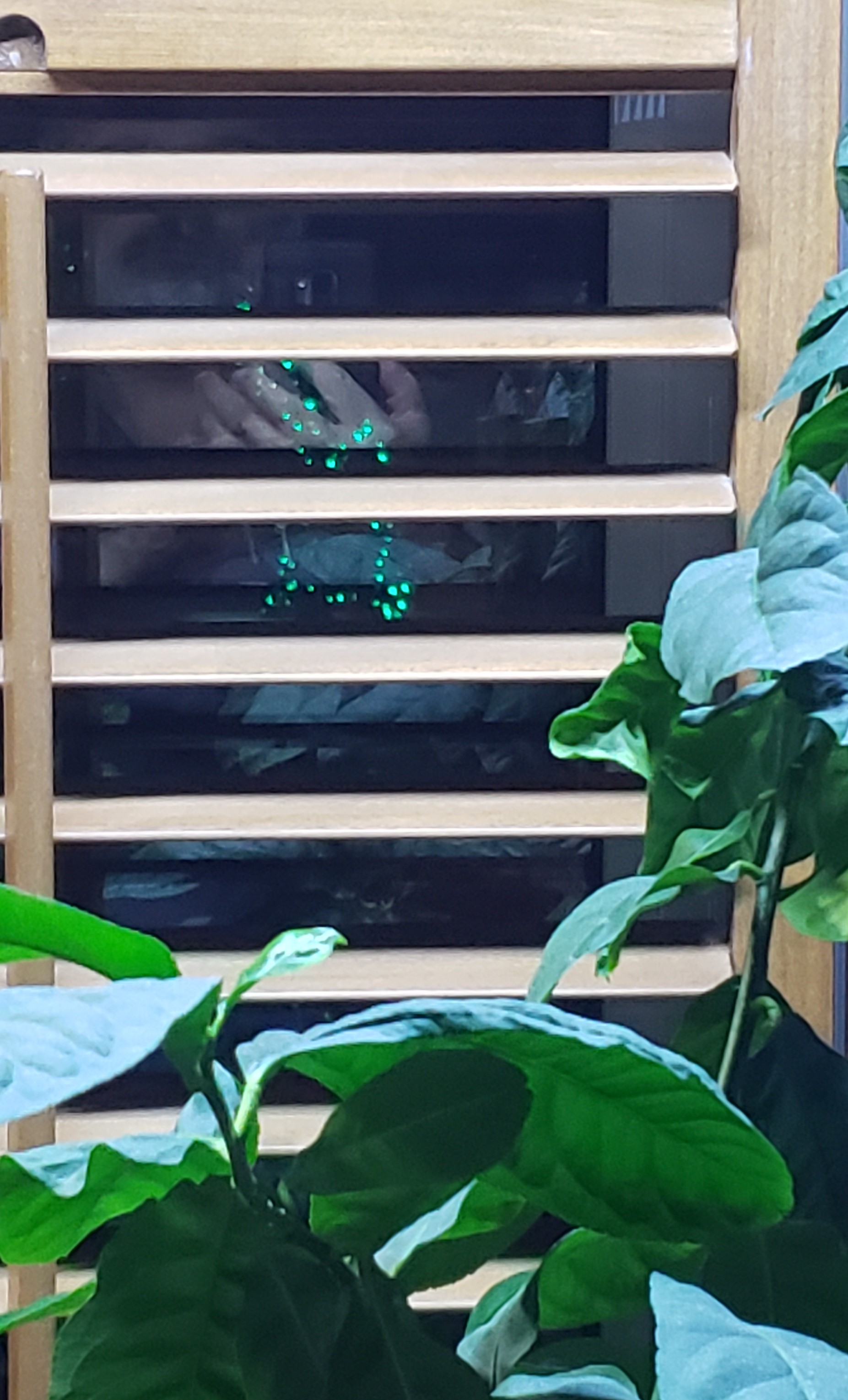 Persienne-lumièresémeraudes