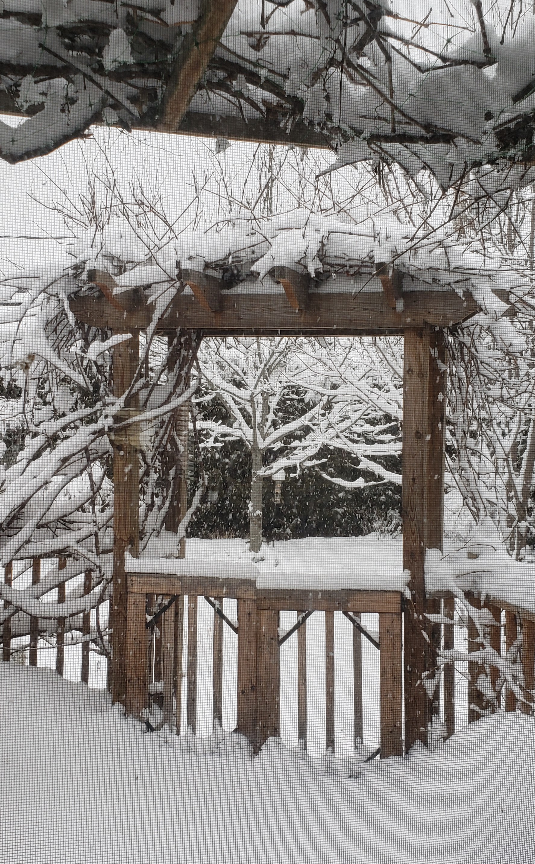 Tonnelle sous la neige